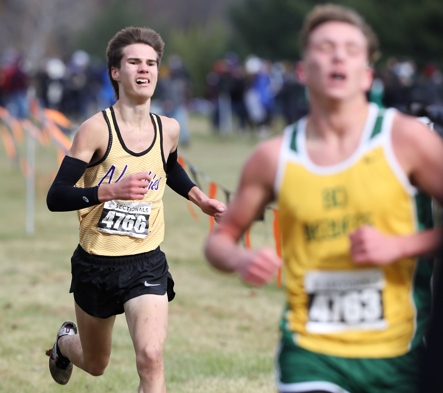 WIAA girls and boys cross country sectional